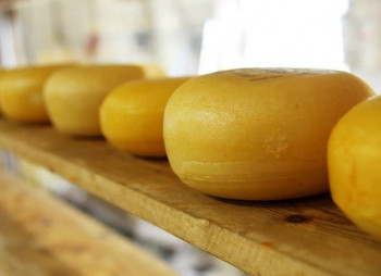 Действующий молочный завод